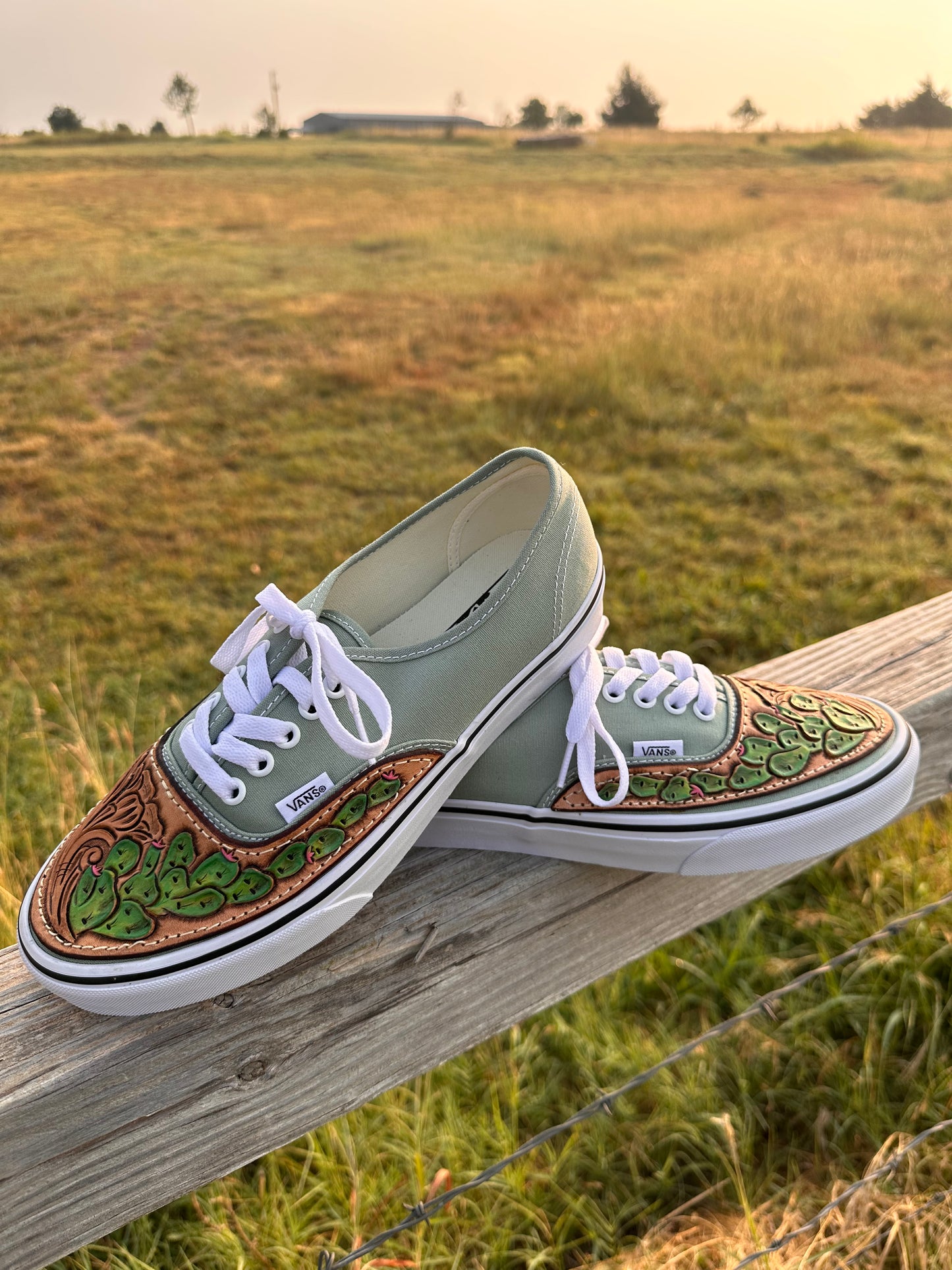 Cacti Authentic Lace Vans 10.5w